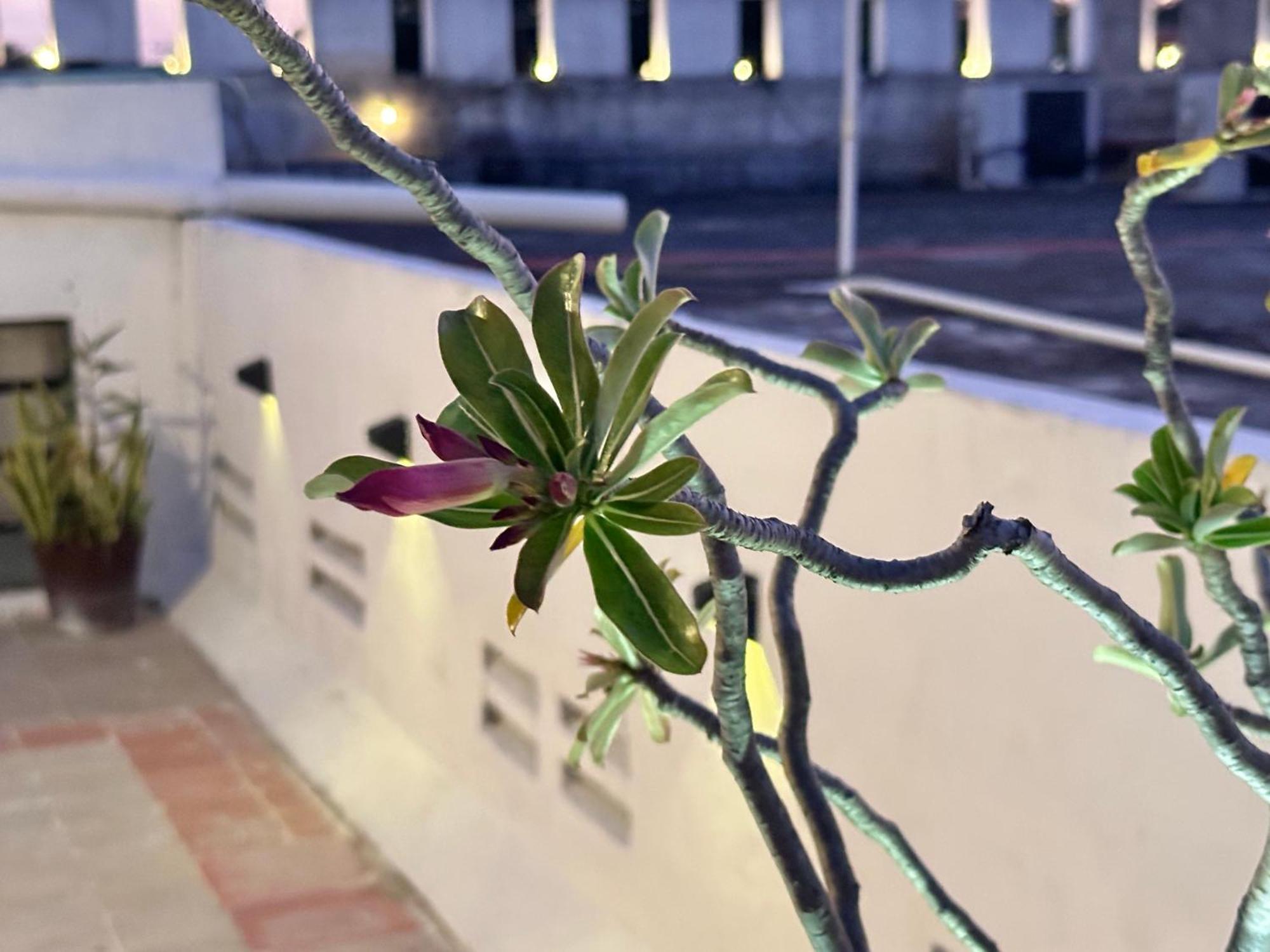 Casa Vidal Hotel Валядолид Екстериор снимка